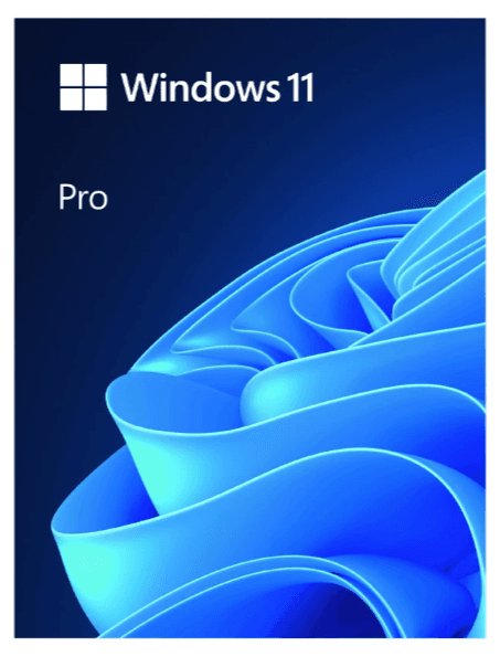 Phần mềm Microsoft Windows Pro 11 64Bit USB FPP/HAV-00163