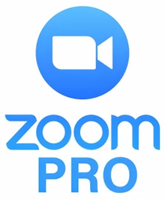 Dịch vụ trực tuyến Zoom Workplace Pro 300 participants – Gói 1 năm