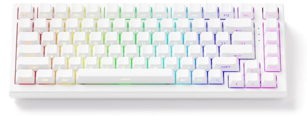 Bàn phím cơ AKKO FUN60 Max SP White Glare Magnetic Switches (Tri-mode) 8K in 2.4G