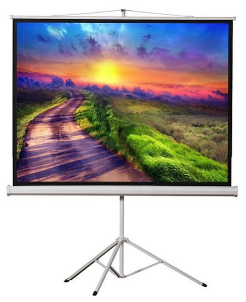 Màn chiếu chân Dalite P80TS