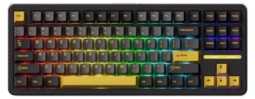 Bàn phím cơ AKKO TAC87 Black&Gold Tri-Mode – Mirror