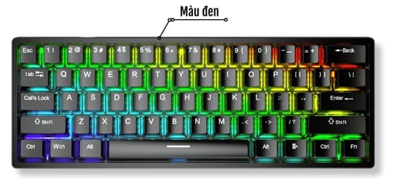 Bàn phím cơ Aula F3261 Đen Blue Switch