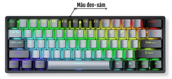 Bàn phím cơ Aula F3261 Đen Xám Blue Switch